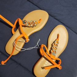 Ropa Zapatos Perfumes 