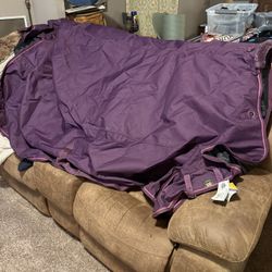 Draft Horse Winter Blanket