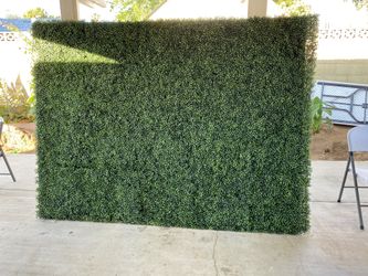 Backdrop