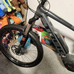 Trek Powerfly 5