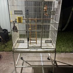 Bird 🐦cage large