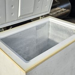 Insignia Deep Freezer