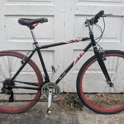 Giggs Custom Bicycle 