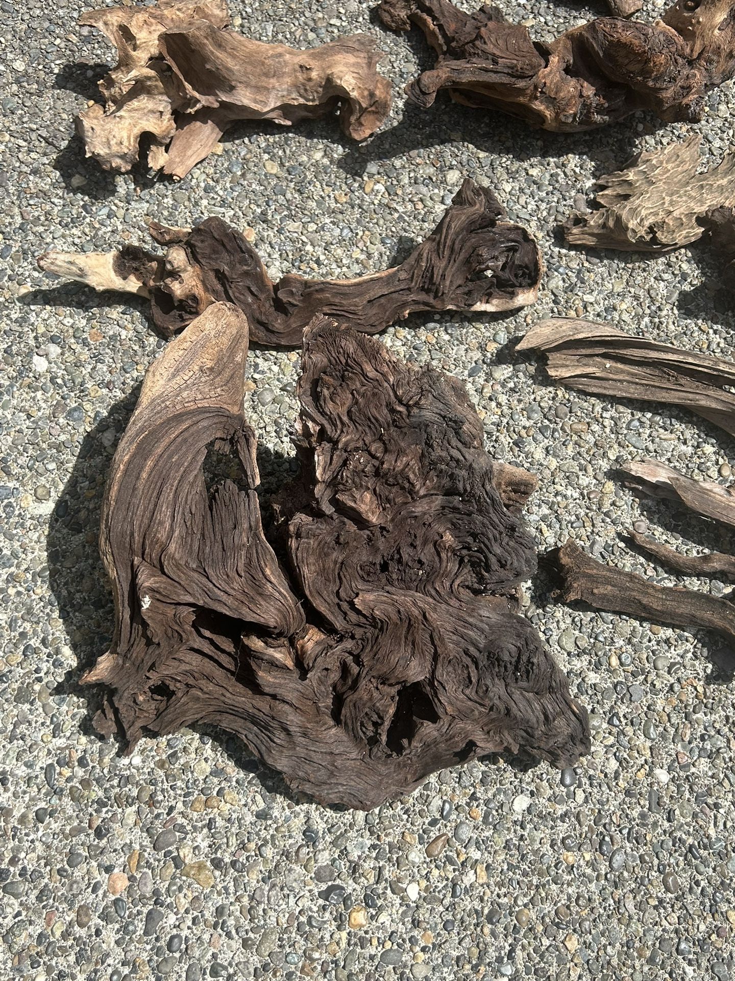 Mopani Wood For Aquarium Aquascaping