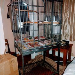 Bird Cage Had My African Grey In This Cage. To Opens Up To Make a play pen
