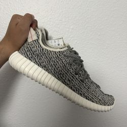 Yeezy Turtle Dove Size 12