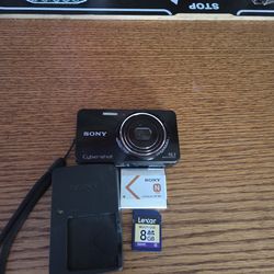 Sony Cyber-shot DSC-W570 16.1MP 5x Optical Zoom 720p HD Digital  Camera Black