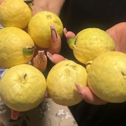 Guayabas Guavas