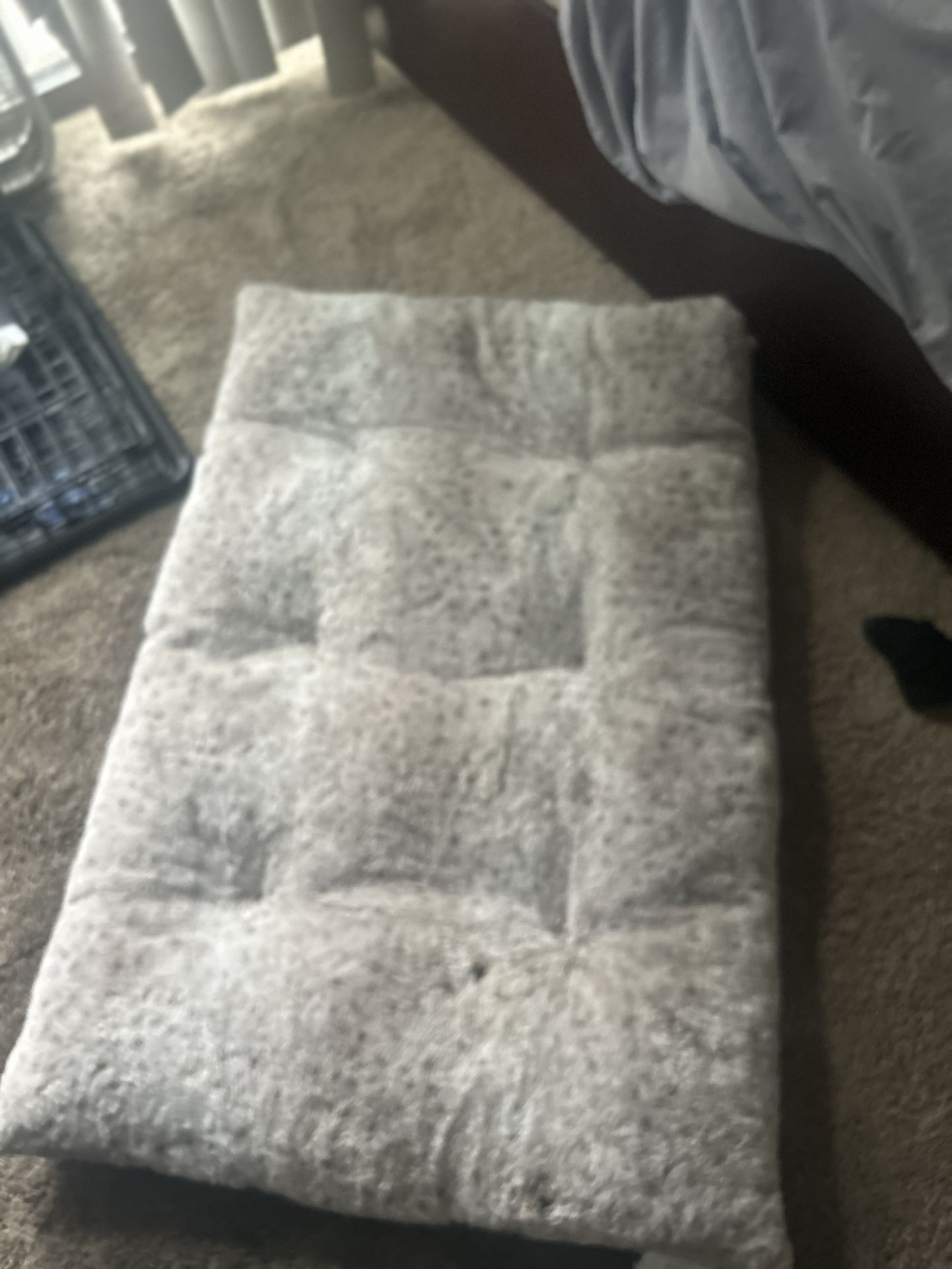 Dog Bed