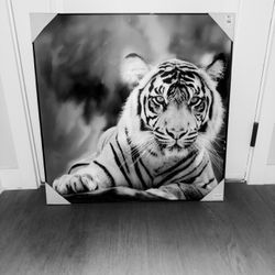 Tiger Portrait