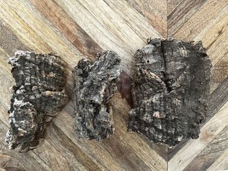 Wood Chunks For Air Plants 