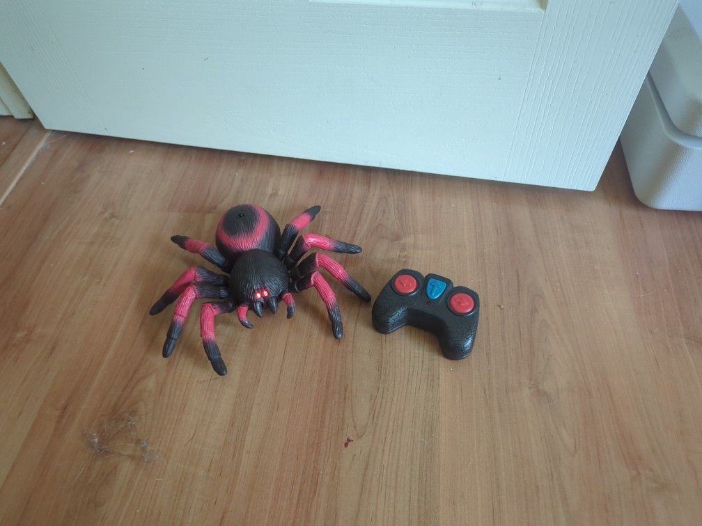 Terra RC Spider