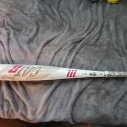 Marucci Cat 8