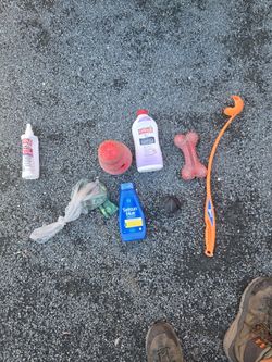 Dog Items