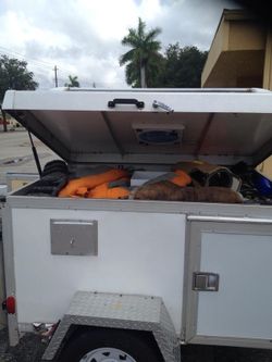 3 hole Dog trailer . For serious dog lovers