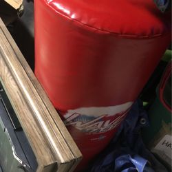 Red Punching Bag 