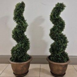 *** HOLIDAY SALE *** PAIR of 3ft Boxwood Spirals in 11in Gold Circle Planters @ Lasting Creations