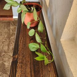 Decorative Espresso Console Table