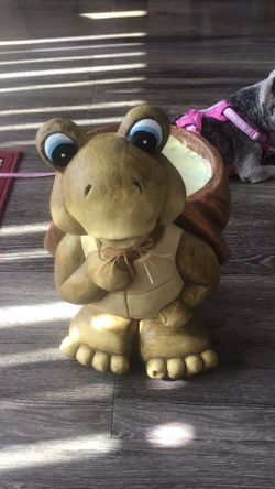 Tortuga Para Poner Plantas 