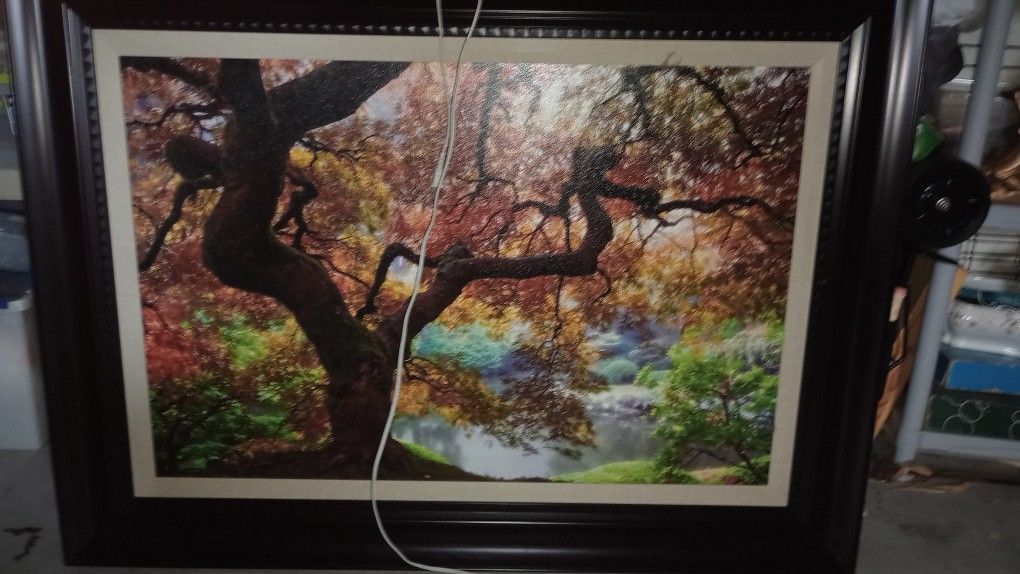 Large Photo Print Framed