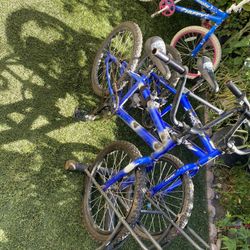 5 Kids Bikes
