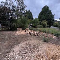 Free Fire Wood