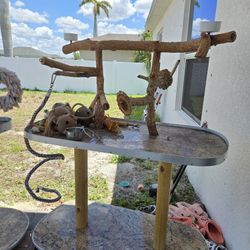 XL Bottlewood Brush Perch