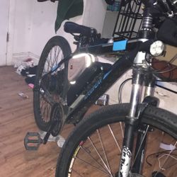 Electric Bike