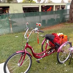 Schwinn meridian tricycle