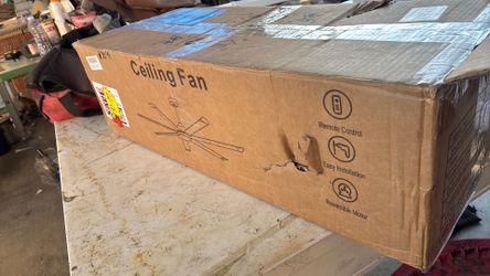 Ceiling Fan