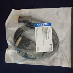 Display Port to DVI Adapter 