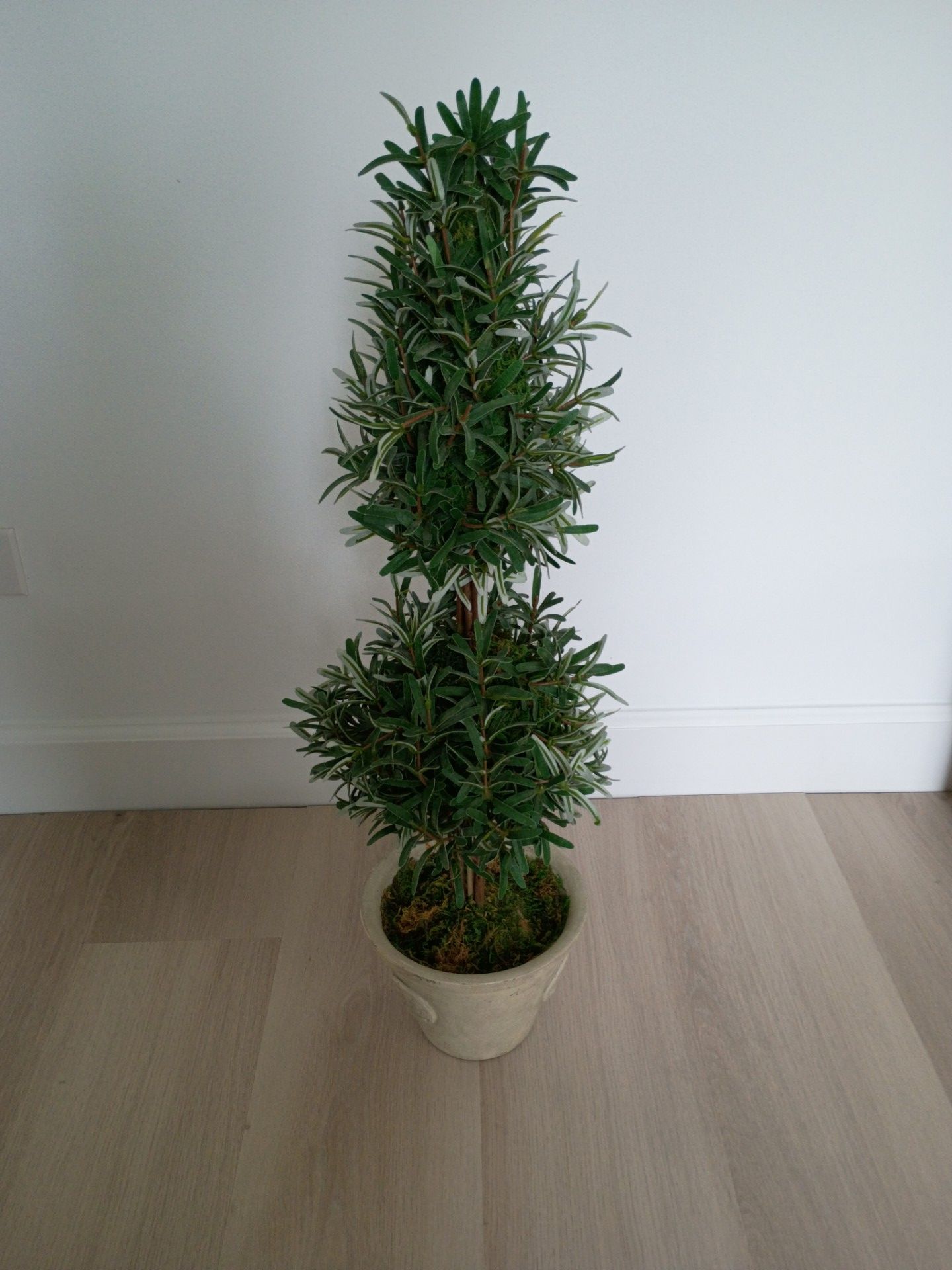 Faux Rosemary topiary