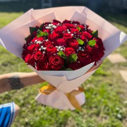 50 Rosas Roses Flowers