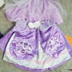 Sofia The First Costume