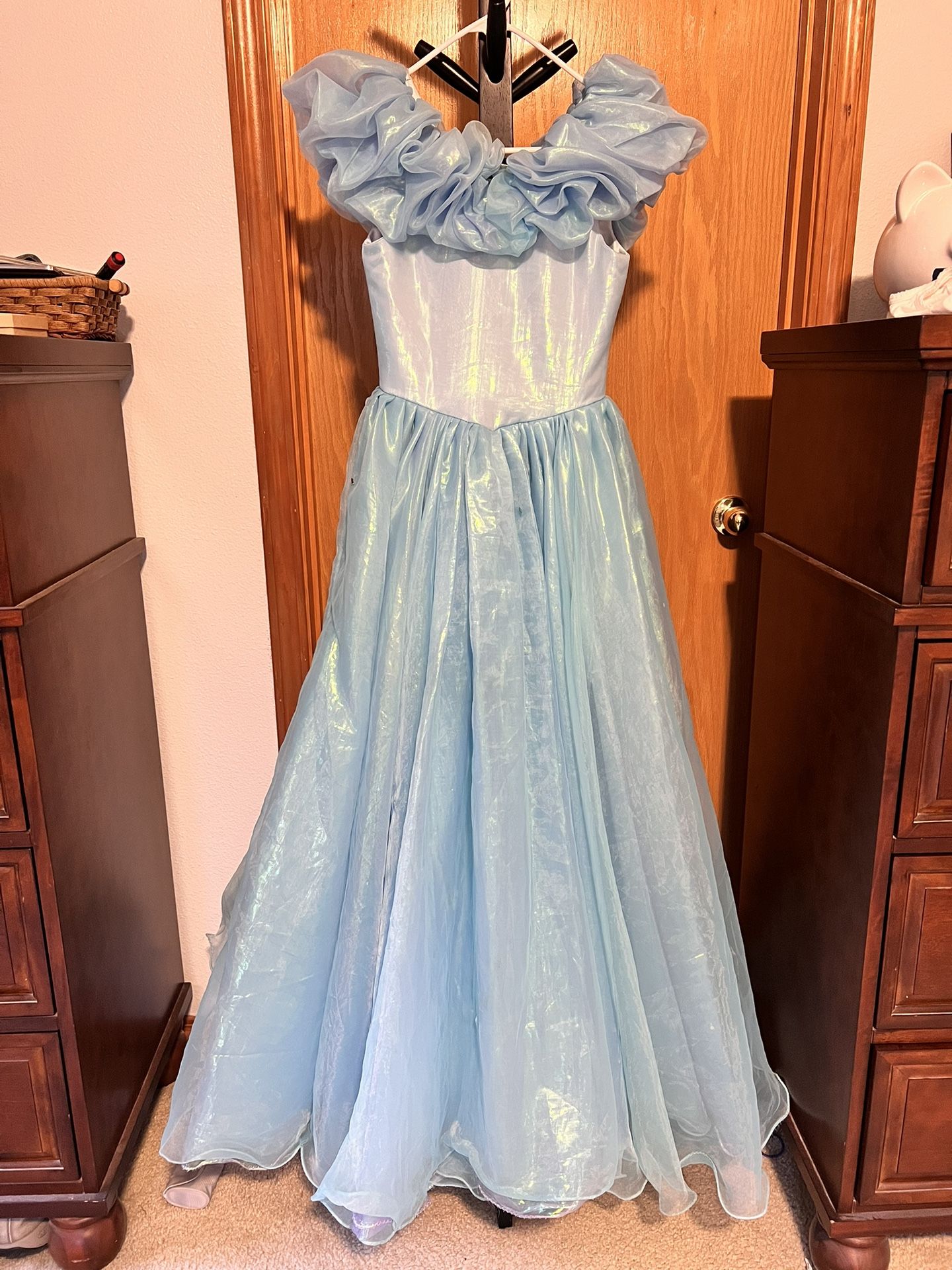 Gorgeous Cinderella Ballgown
