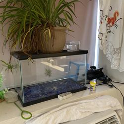 Fish Tank W Fish