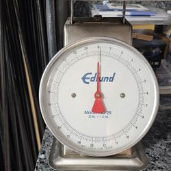 Scale Stainless Steel 