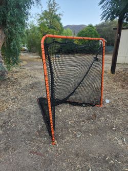Lacrosse net goal