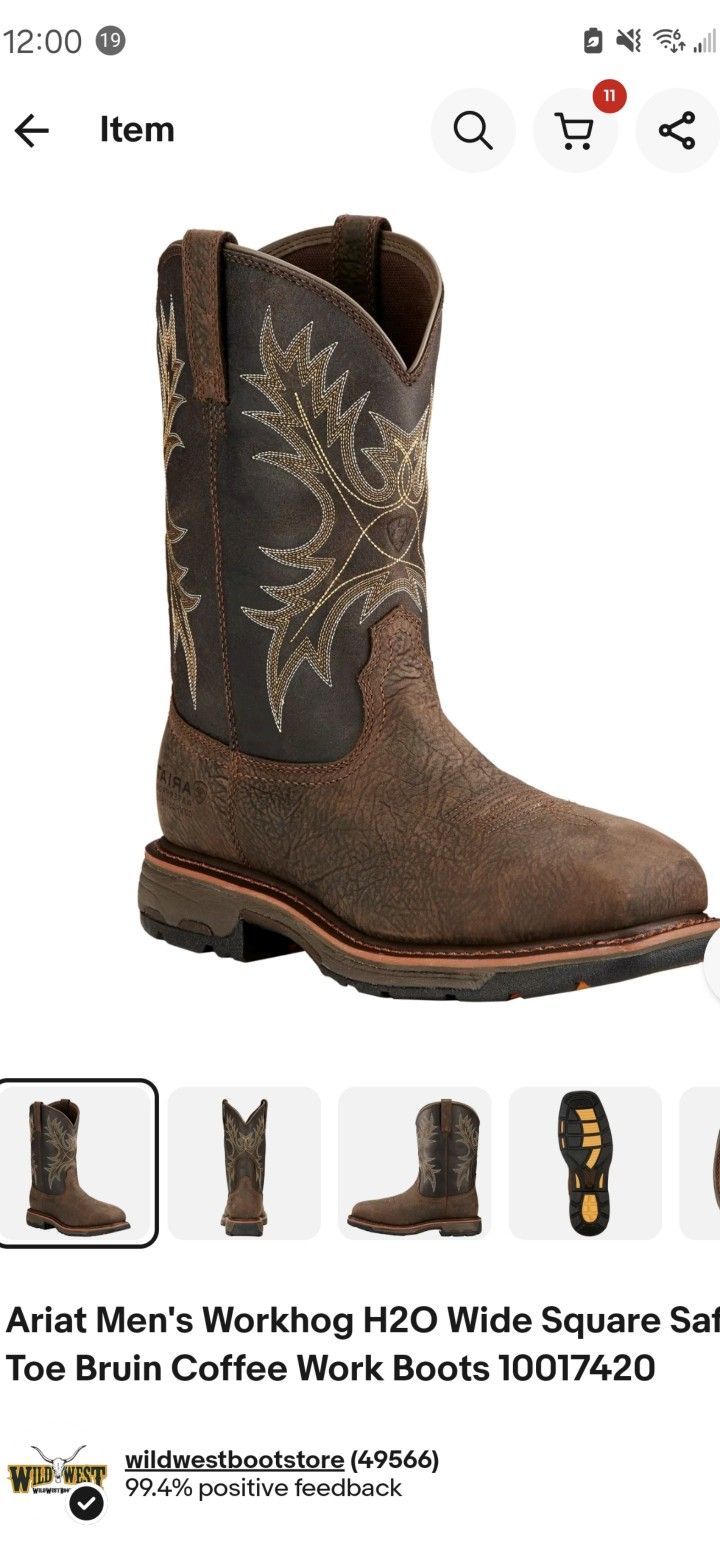 Ariat Men's Boot