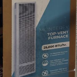 Williams Wall Heater 