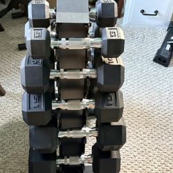 Weights And Weight Tree