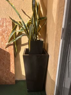 Planter | Matero | Macetero | Portaplanta