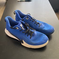 Kobe “Mamba Fury”