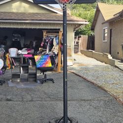 Lifetime Portable Basket Ball Hoop