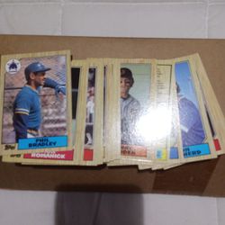 Topps 1980 Baseball Cards 