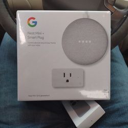 Google Nest Mini + Smart Plug