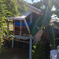 Chicken Coop