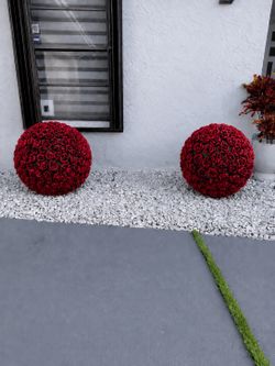 Garden rose spheres
