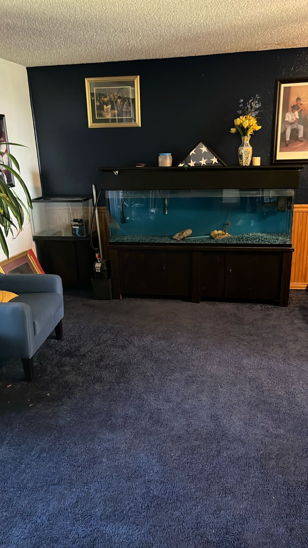 Aquarium 110 Gallon $600.00