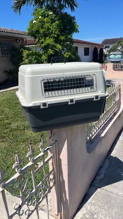 Kennel